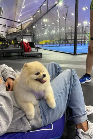 Турнир Friendly Padel, 21 июля 2025